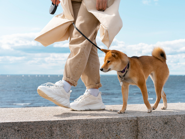 Нижегородская область входит в число регионов-лидеров по пропажам питомцев
Нижегородская область входит в число регионов-лидеров по пропажам питомцев