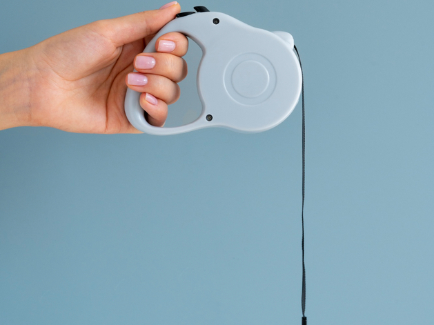 В Нижегородской области запретили хоронить домашних животных