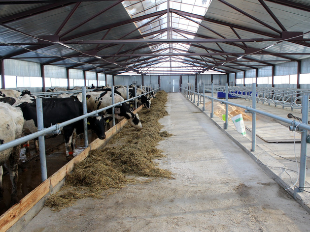 Проект роботизированной фермы на 1,4 тыс. коров в Нижегородской области прошел экспертизу Проект роботизированной фермы на 1,4 тыс. коров в Нижегородской области прошел экспертизу