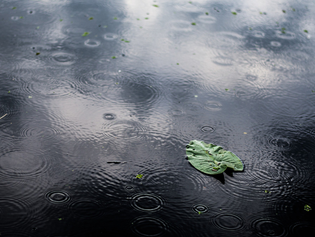 Почти 100% месячных осадков. Нижний Новгород накроют аномальные ливни