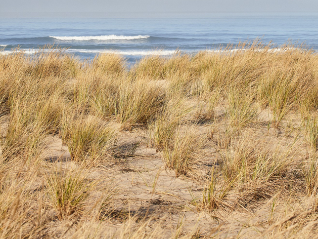В Нижегородской области отсудили у собственника часть берега Горьковского водохранилища
