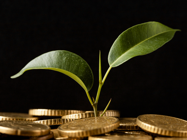 Нижегородские предприятия увеличили «зеленые инвестиции» на 46% за год
Нижегородские предприятия увеличили «зеленые инвестиции» на 46% за год