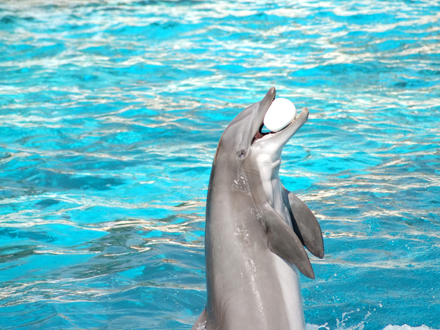 Куда сходить в Нижнем Новгороде в последние выходные лета
