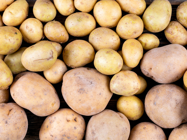 Проект завода по переработке картофеля в Нижегородской области прошел экспертизу
