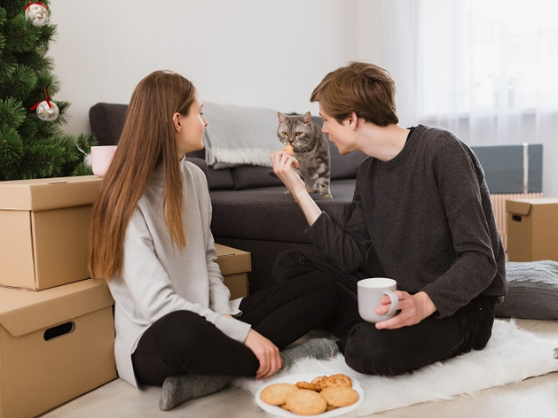 Эксперты выяснили: новоселье с кошки начинает половина россиян Эксперты выяснили: новоселье с кошки начинает половина россиян