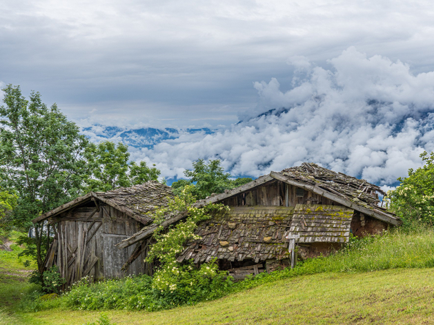 Никто не живет с 2003 г. Третий поселок исчезнет с карты Нижегородской области
