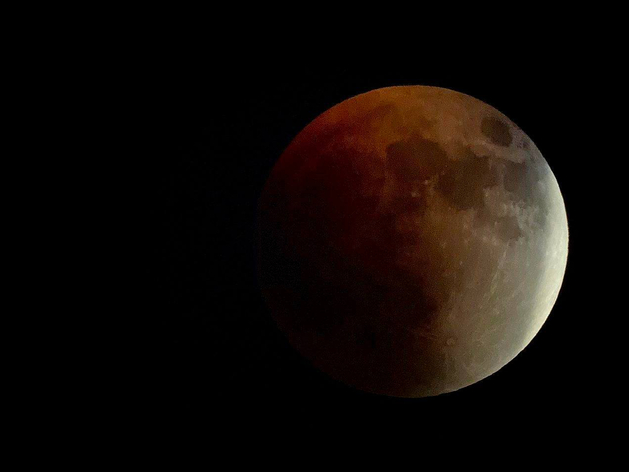 «С погодой повезло». Опубликованы фото лунного затмения в Нижнем Новгороде
