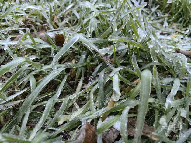 В Нижегородскую область придут заморозки до -3°С
