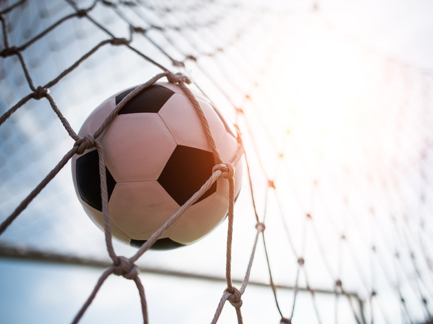 Нижегородской организации для работы со спортклубами выделят еще более 230 млн руб.
