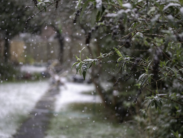В Нижегородской области ожидается мокрый снег в конце сентября
