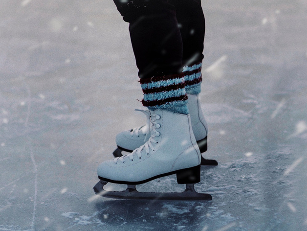 На нижегородской ледовой арене хотят организовать массовые катания на коньках На нижегородской ледовой арене хотят организовать массовые катания на коньках
