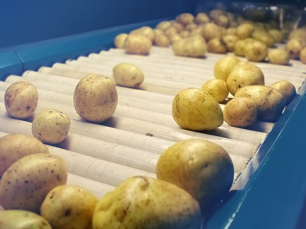 Инвесторам предложили построить в Нижегородской области картофельный завод за 3,3 млрд