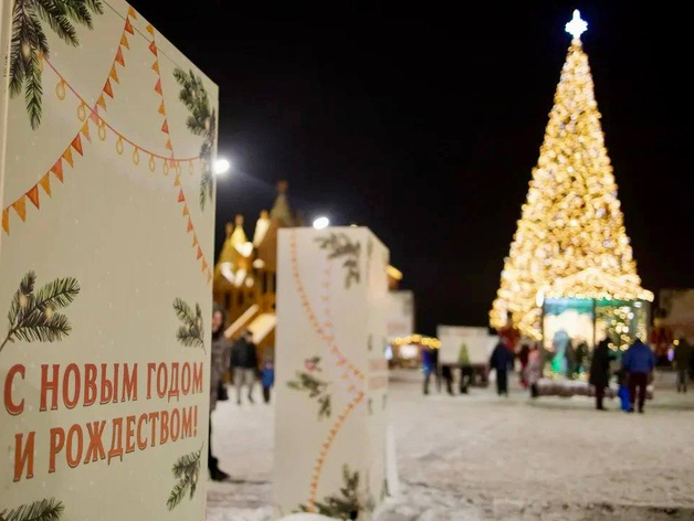 Нижний Новгород сократил почти на 25 млн руб. расходы на новогодние украшения
