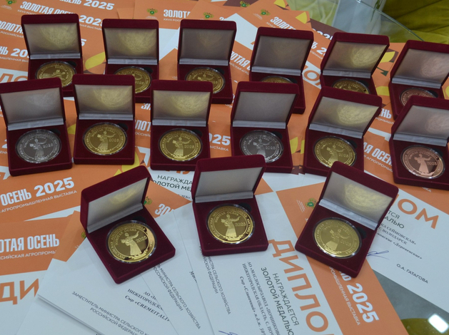 81 — золотая. Нижегородская область заняла первое место по числу медалей на выставке АПК