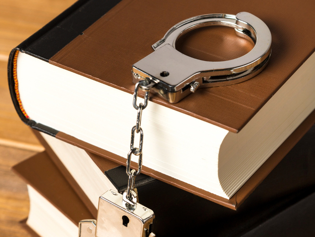 В Нижегородской области резко выросло число экономических преступлений, совершенных ОПГ В Нижегородской области резко выросло число экономических преступлений, совершенных ОПГ