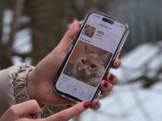 Нижегородский ИИ-сервис для поиска животных занял первое место на всероссийском конкурсе