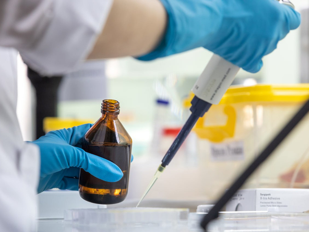 Нижегородские ученые создали систему ИИ для диагностики опухоли мозга