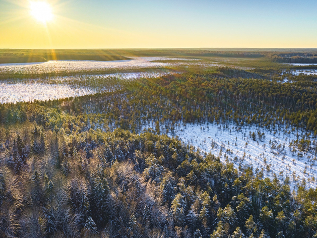 Границы нижегородского национального парка зарегистрируют в конце 2025 г.
