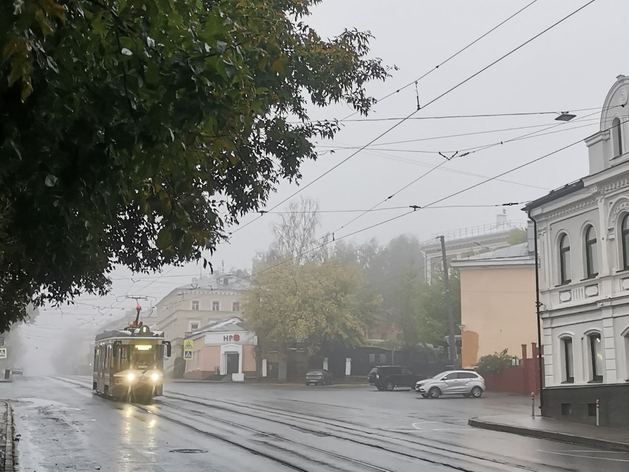 Улицу в центре Нижнего Новгорода перекрыли почти на 1,5 месяца
