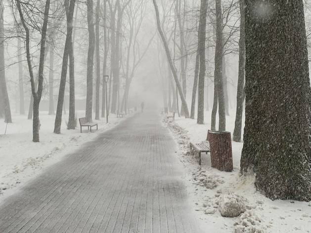 Сильный снег, гололед. В Нижнем Новгороде резко похолодает