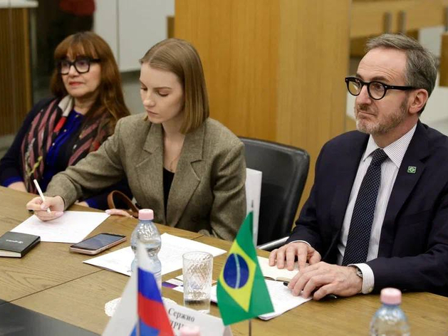 Нижегородская область расширит культурное и образовательное сотрудничество с Бразилией
