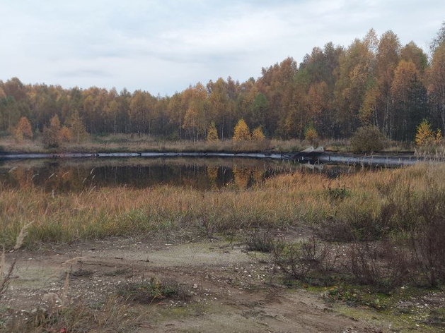 Нижегородский моторный завод снова оштрафовали из-за полигона в Балахнинском округе

