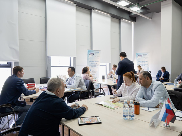 Нижегородские экспортеры заработали более 85 млн руб. на международных маркетплейсах
