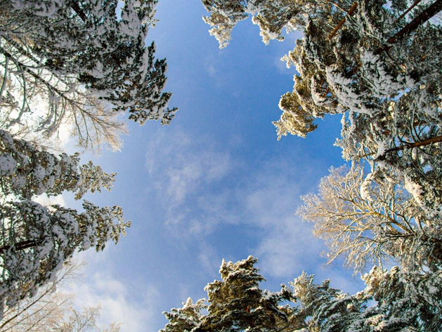 К лыжному сезону в нижегородском поселке Дубравный появился быстрый мобильный интернет
