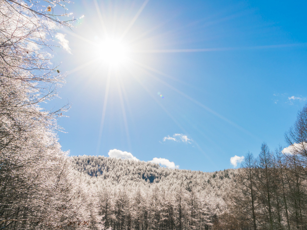Снегом не завалит. Синоптики спрогнозировали погоду на декабрь в Нижегородской области 
