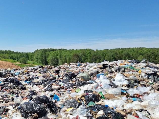 Суд поддержал взыскание 4,7 млн руб. за ущерб от Городецкого полигона ТБО