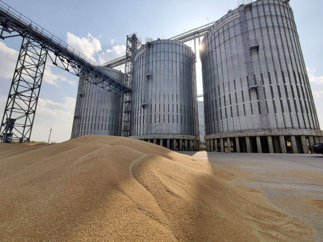 В Нижегородской области выявлены массовые нарушения при декларировании зерна