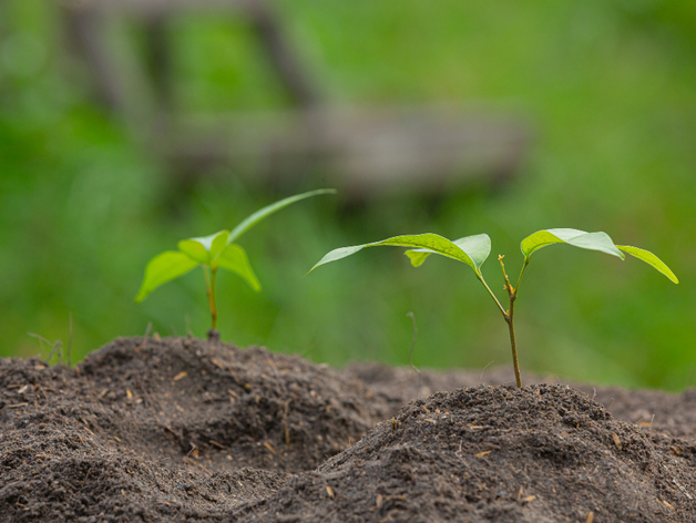 В Нижегородской области предоставили миллионный грант агротехническому стартапу