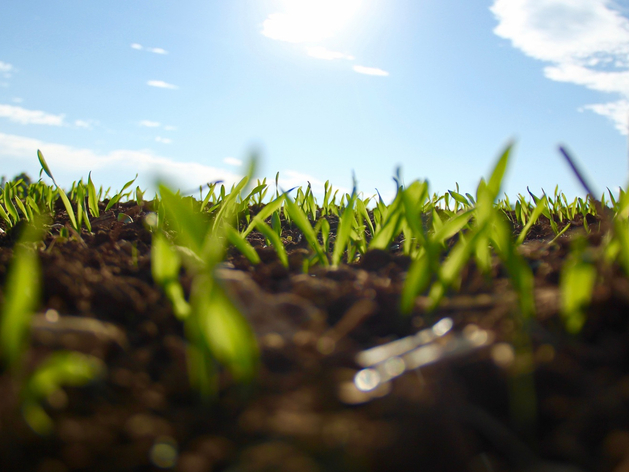 В Нижегородской области установят единую цену для выкупа земель сельхозназначения
В Нижегородской области установят единую цену для выкупа земель сельхозназначения