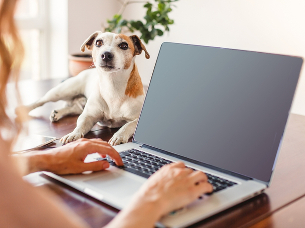 Образовательный курс по кибербезопасности запустили для жителей Нижнего Новгорода Образовательный курс по кибербезопасности запустили для жителей Нижнего Новгорода