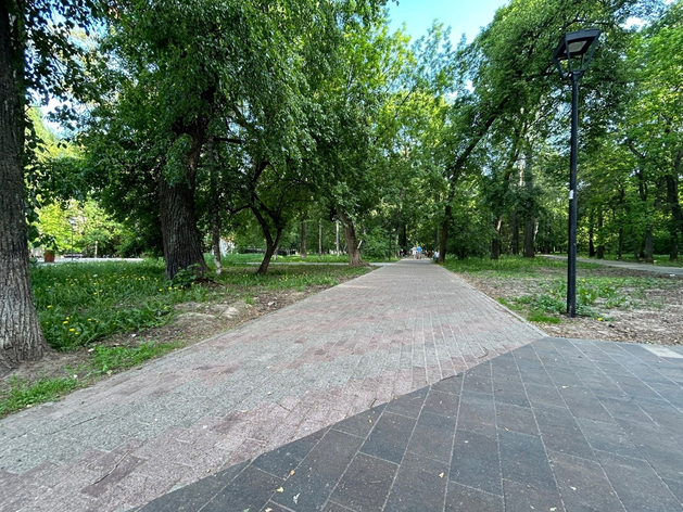 В Нижнем Новгороде 40 га станут озелененными территориями В Нижнем Новгороде 40 га станут озелененными территориями