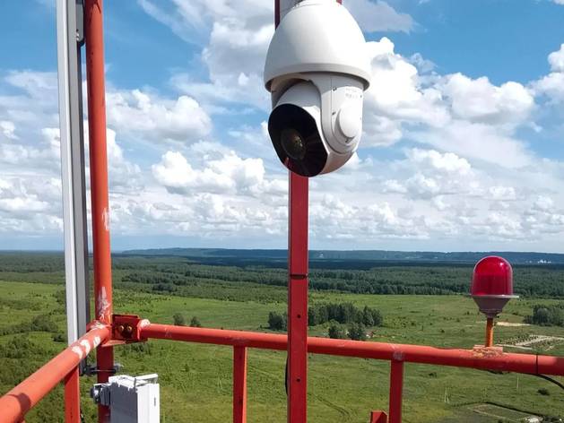 Число камер видеонаблюдения в нижегородских лесах выросло на 70% Число камер видеонаблюдения в нижегородских лесах выросло на 70%